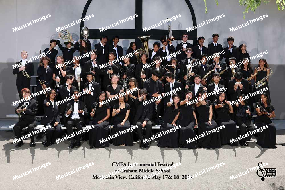 Musical Images